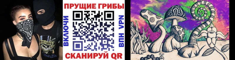 цены наркотик  Калязин  Псилоцибиновые грибы Psilocybe 
